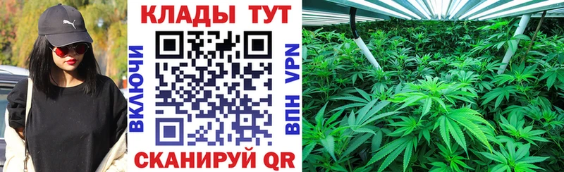 Где купить наркоту Мегион A-PVP Бутират Мефедрон Гашиш Каннабис