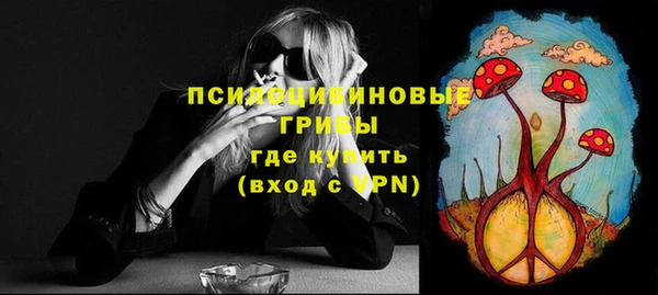 бошки Алзамай