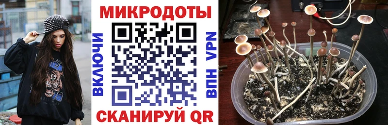 Галлюциногенные грибы GOLDEN TEACHER  где продают наркотики  Мегион 